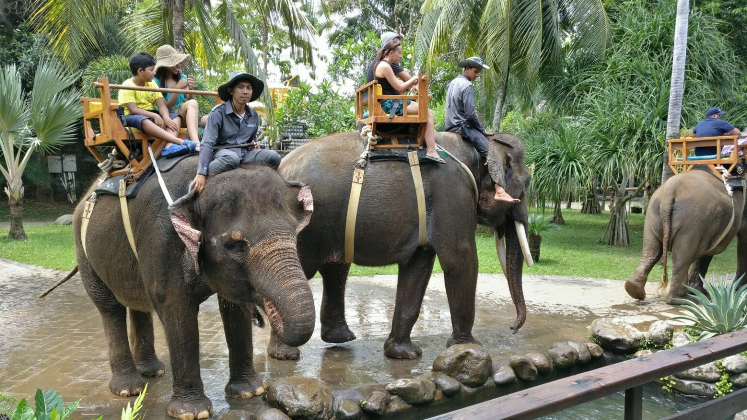 Damaged Roads in Cirebon Threaten Driver Safety