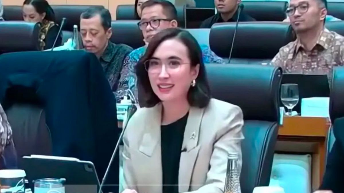 PDIP Rejects Bali North Airport Construction