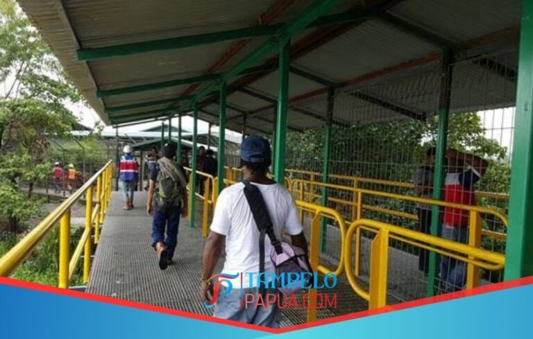 Shooting Incident at Mile Post 50 Tembagapura: TNI Member Killed