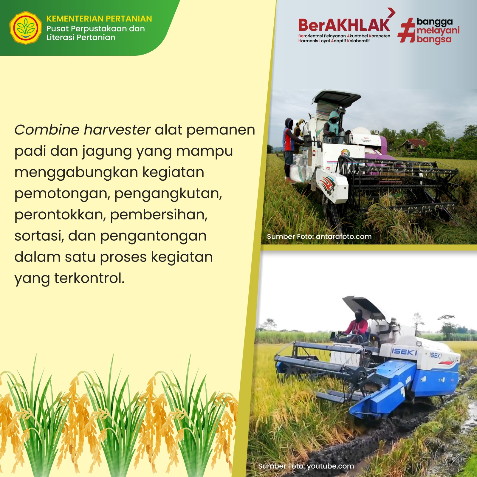 Technological Advancements Enhance Rice Production in Pulang Pisau